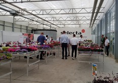 At Selecta in Germany. 